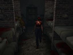 Resident Evil Code Veronica on Gamecube